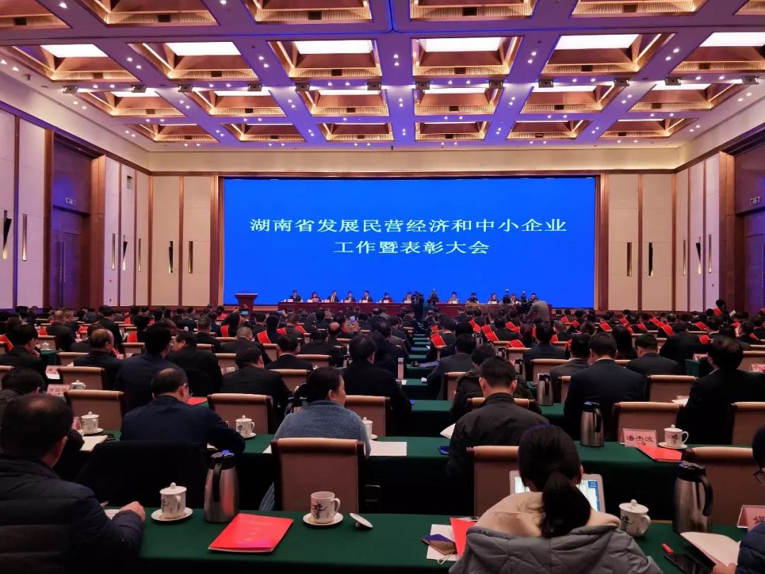 董事長王五星出席：湖南省發展民營經濟和中小企業工作暨表彰大會